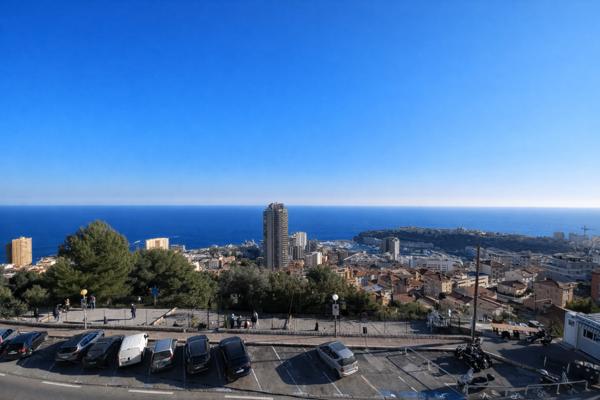Magnifique deux piéces avec terrasse vue mer et parking