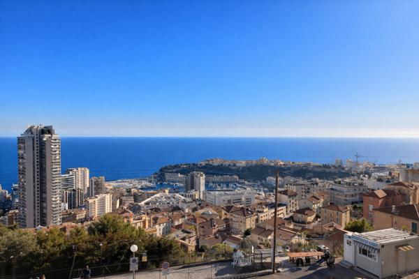 Magnifique deux piéces avec terrasse vue mer et parking