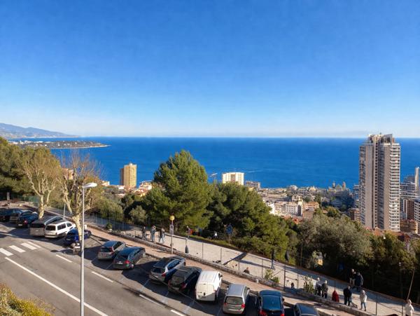 Magnifique deux piéces avec terrasse vue mer et parking