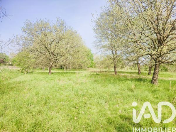 Maison à vendre 7 pièces 150 m² Lacourt-Saint-Pierre
