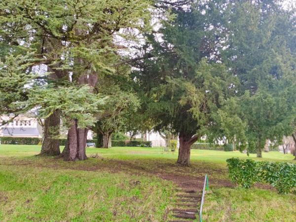 Maison Preuilly Sur Claise 5 pièce(s) 79 m2