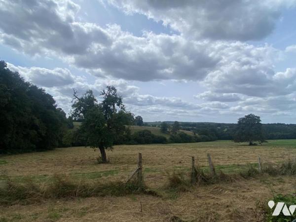 A VENDRE - TERRES AGRICOLES - SAINT OUËN DES TOITS