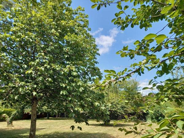 Terrain à Batir à vendre à Châtelain en Mayenne (53200), ref : 53039-376