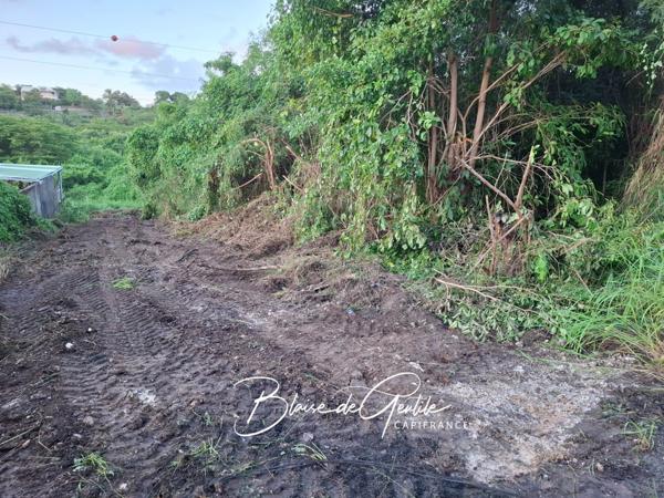 Terrain à vendre SAINT FRANCOIS (971)