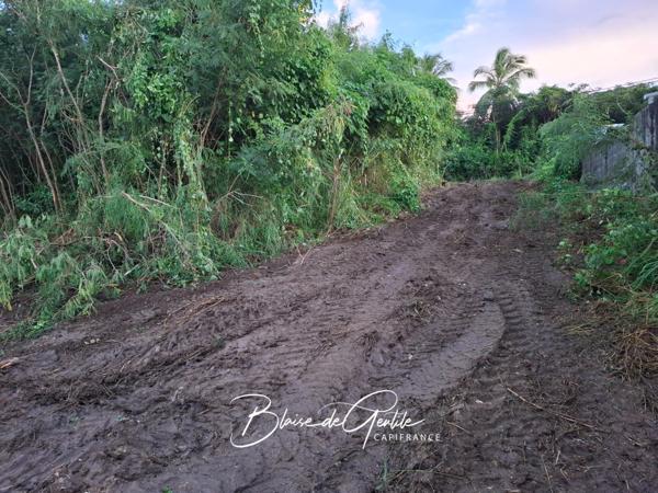 Terrain à vendre SAINT FRANCOIS (971)