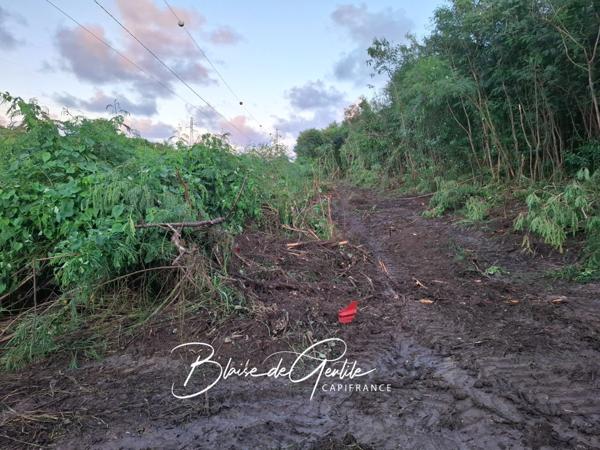 Terrain à vendre SAINT FRANCOIS (971)