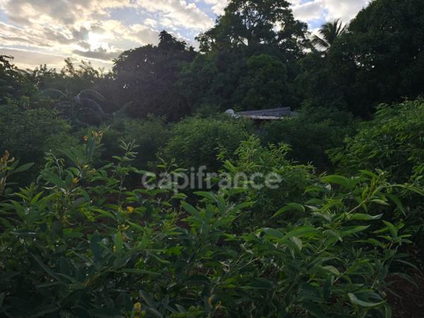 Terrain à vendre BAILLIF (971)