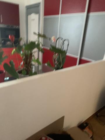 Villemur-sur-Tarn (31340) MAISON AVEC TERRAIN ET DÉPENDANCE