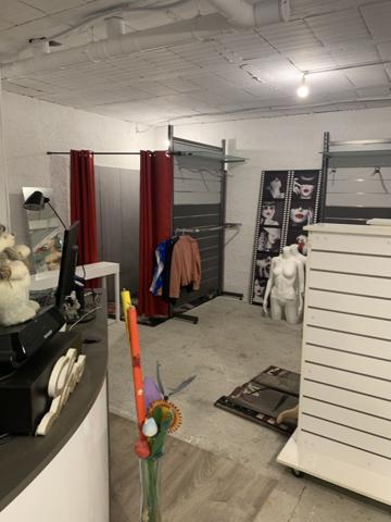 Villemur-sur-Tarn (31340) MAISON AVEC TERRAIN ET DÉPENDANCE