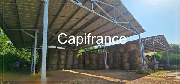 PROPRIETE AGRICOLE à vendre AUBIN (12)