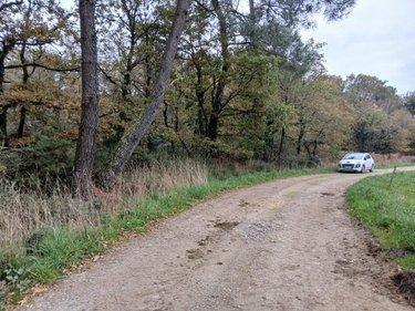 Terrain de loisirs - Bois - Etang à vendre à Allaire dans le Morbihan (56350), ref : 56084-354