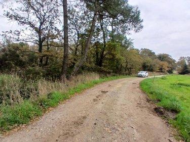Terrain de loisirs - Bois - Etang à vendre à Allaire dans le Morbihan (56350), ref : 56084-354