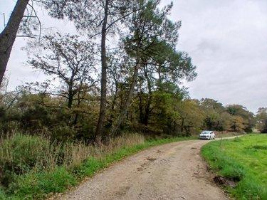 Terrain de loisirs - Bois - Etang à vendre à Allaire dans le Morbihan (56350), ref : 56084-354