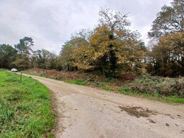 Terrain de loisirs - Bois - Etang à vendre à Allaire dans le Morbihan (56350), ref : 56084-354