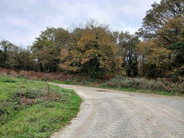 Terrain de loisirs - Bois - Etang à vendre à Allaire dans le Morbihan (56350), ref : 56084-354
