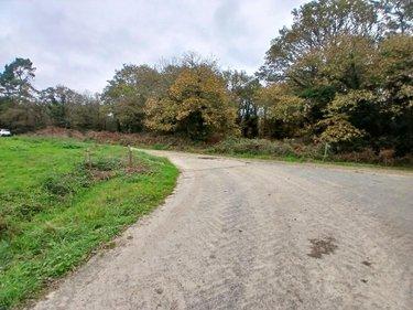 Terrain de loisirs - Bois - Etang à vendre à Allaire dans le Morbihan (56350), ref : 56084-354