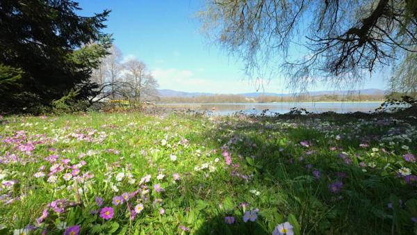 terrain à bâtir, 1100 m², dépendance cadastrée de 200m².