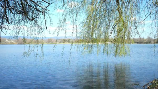terrain à bâtir, 1100 m², dépendance cadastrée de 200m².