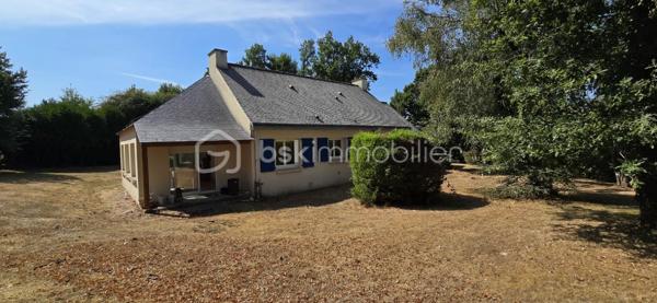 "VISITE VIRTUELLE DISPONIBLE SUR DEMANDE"
🏡 PLAIN-PIED – 3 CHAMBRES – GRANDE VÉRANDA – TERRAIN DE PRÈS DE 3 700 M²

À seulement 9 min de Josselin, 5 min du Roc-Saint-André, 15 min de Ploërmel et 30 min de Vannes, découvrez cette maison de plain-pied offrant un cadre agréable et un vaste terrain de près de 3 700 m² avec puits.

Dès l’entrée, vous découvrirez un séjour/salon de 23 m² avec cheminée, idéal pour profiter de belles soirées au coin du feu, ainsi qu’une cuisine aménagée et équipée de 9 m² attenante.

Véritable atout de la maison, la grande véranda de 27 m² prolonge agréablement l’espace de vie et permet de profiter du jardin en toute saison.

Côté nuit, la maison dispose de 3 chambres, d’une salle d’eau avec douche à l’italienne et d’un WC indépendant.

Pour compléter l’ensemble, vous bénéficierez d’un garage avec grenier, d’un carport ainsi que d’un abri de jardin, offrant de nombreux espaces de stationnement et de rangement.

À l’extérieur, le terrain de près de 3 700 m², agrémenté d’un puits, offre un bel espace pour profiter pleinement des beaux jours, créer un potager ou accueillir différents projets selon vos envies. Vous disposez aussi d'un verger..

LES ATOUTS :
✓ Maison entièrement de plain-pied
✓ 3 chambres
✓ Cheminée
✓ Véranda de 27 m²
✓ Garage avec grenier
✓ Carport et abri de jardin
✓ Terrain de près de 4 500 m²
✓ Puits
✓ Situation pratique entre Josselin et Ploërmel

Une maison fonctionnelle offrant de beaux espaces intérieurs et extérieurs, à découvrir rapidement !

A prévoir, rafraichissement total et mise aux normes de l'assainissement

Contactez-moi pour plus d’informations et organiser une visite.