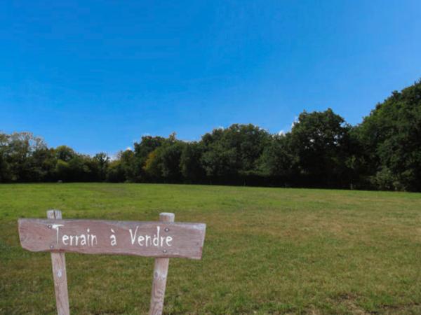 Terrain
        
        - 650 m² 175 000 €*