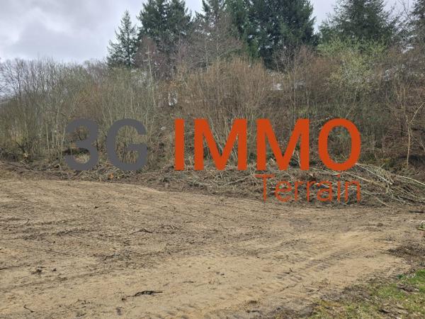 Vente / Terrain constructible