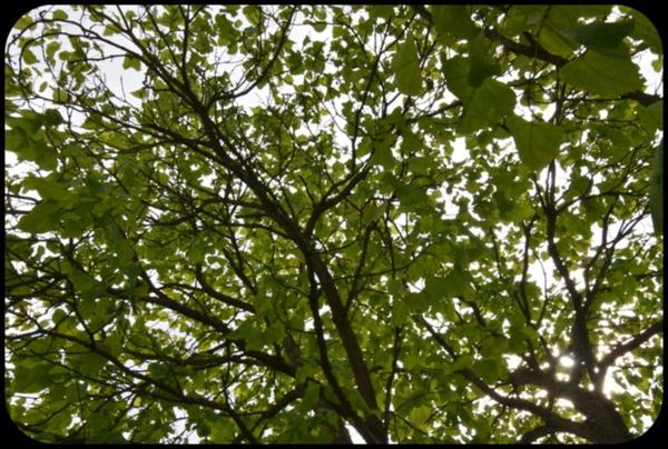 Immeuble à vendre MONTLUCON (03)