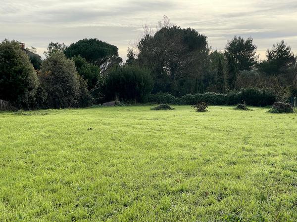 Terrain Saint Benoist Sur Mer 946 m2