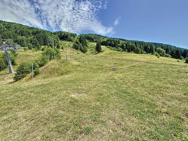 Restaurant / Bar Lelex 4.8/5 sur 350 Avis