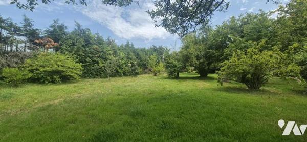 MAISON EN PIERRES - TERRAIN 1350 M2