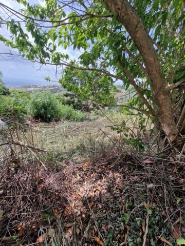 TERRAIN CONSTRUCTIBLE
