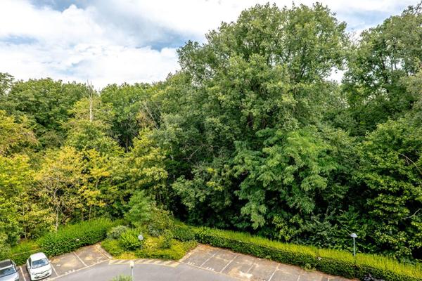 Appartement 3 chambres Sèvres 78.03 m2