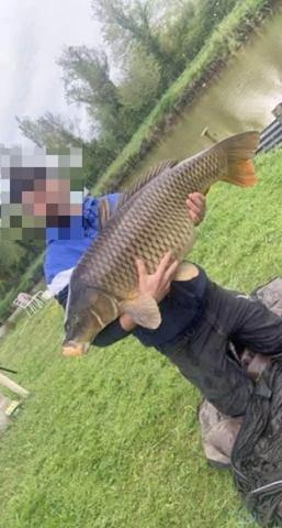 Terrain de loisirs - Bois - Etang à vendre à Laon dans l'Aisne (02000), ref : 02002-342