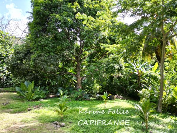 Dpt Martinique (972), à vendre RIVIERE PILOTE Villa T4 + 2 T2 sur terrain de 3395 m²