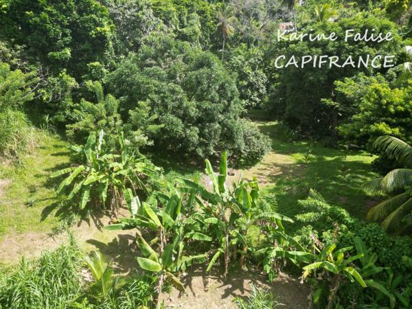 Dpt Martinique (972), à vendre RIVIERE PILOTE Villa T4 + 2 T2 sur terrain de 3395 m²