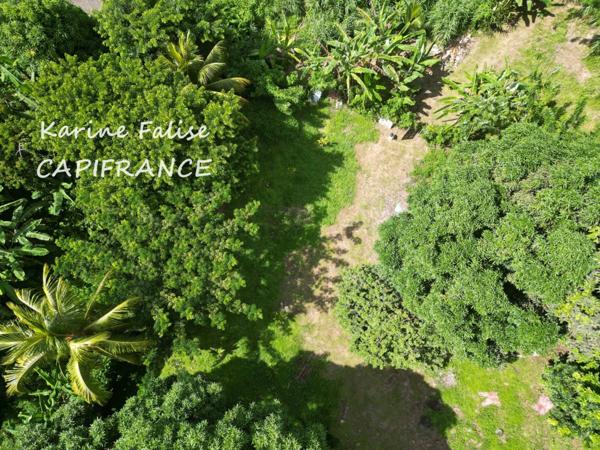 Dpt Martinique (972), à vendre RIVIERE PILOTE Villa T4 + 2 T2 sur terrain de 3395 m²