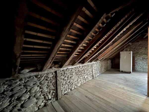 Grande maison de ville avec jardin, vue Pyrénées