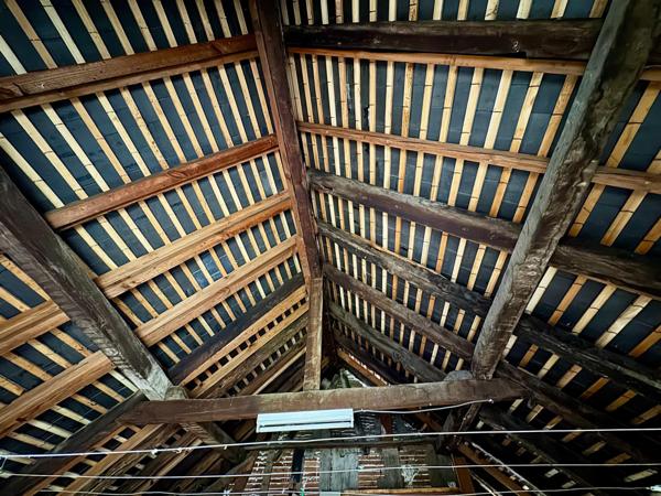 Grande maison de ville avec jardin, vue Pyrénées