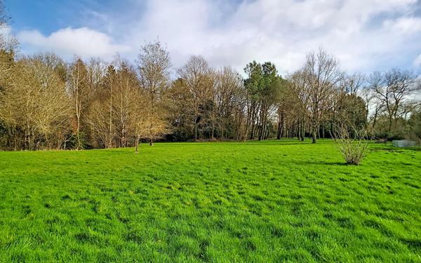 Maison à vendre    7 pièces • 178 m2 Couëron