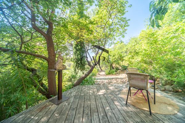 Aix-en-Provence (13100) Belle propriété à 2 km du centre d’Aix – 243 m² habitables sur 5 430 m² de terrain