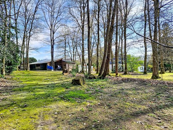 Charmante maison au calme - 6 chambres - BAUNE