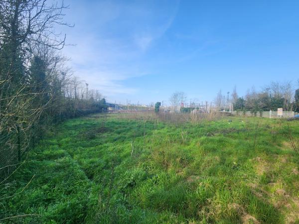 Terrain à VILLENAVE-D'ORNON, 33140 - 3139m²