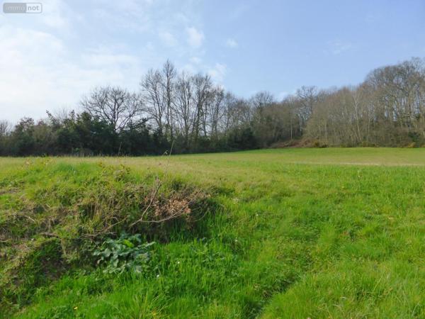 Terrain à Batir à vendre à Monléon-Magnoac dans les Hautes-Pyrénées (65670), ref : 26006