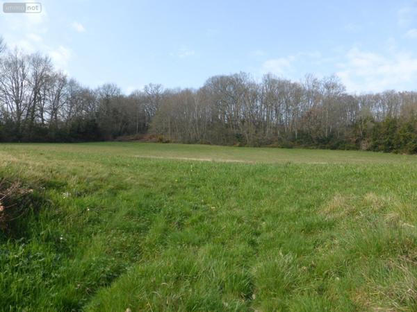 Terrain à Batir à vendre à Monléon-Magnoac dans les Hautes-Pyrénées (65670), ref : 26006