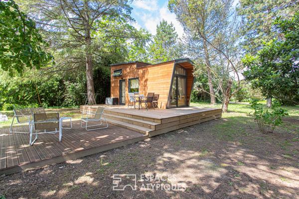 Mas du XVIe siècle et gîtes dans un écrin vert près d’Avignon