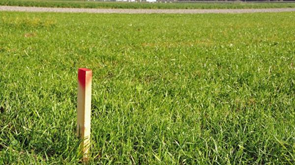 Achat terrain près de Saint-André-de-Cubzac - 647 m² - 72 500 €