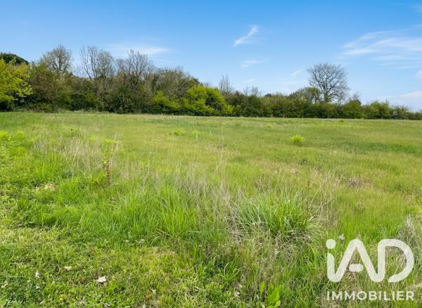 Terrain à vendre 1 528 m² Lafox