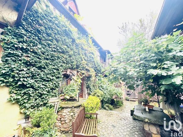 Immeuble à vendre 25 pièces 785 m² Bergheim