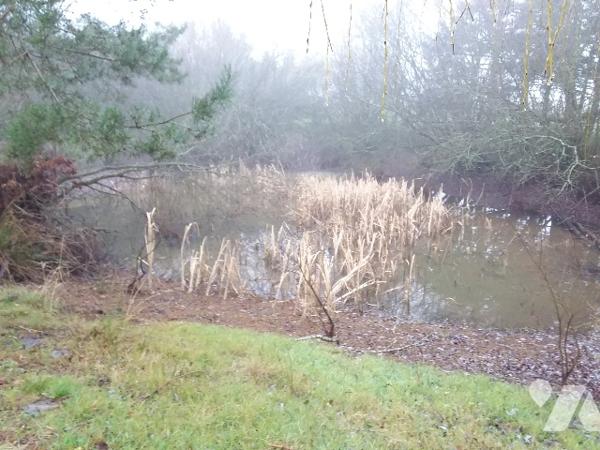 PAVILLON DE CONSTRUCTION ARTISANALE DE 158 M² HABITABLES, 6 CHAMBRES