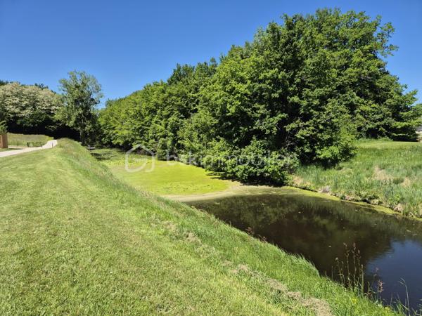 Maison contemporaine de 147 m²