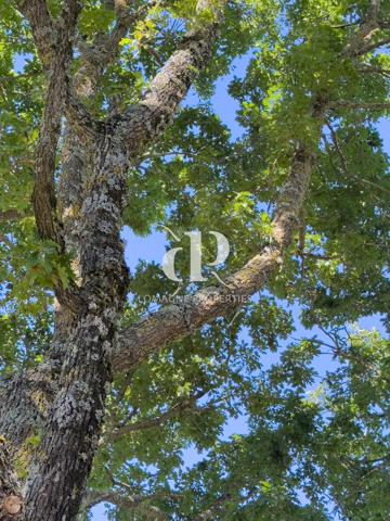 Saint-Clar (32380) Maison de village avec deuxième logement et vue imprenable